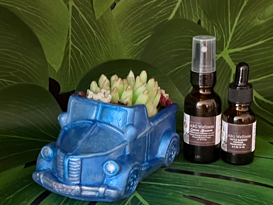 3 Pcs Cactus Succulent Vintage Truck Aromatherapy Soap Home Fragrance Decor Art Gift Set “MADE TO ORDER” A Gift For Any Occasion