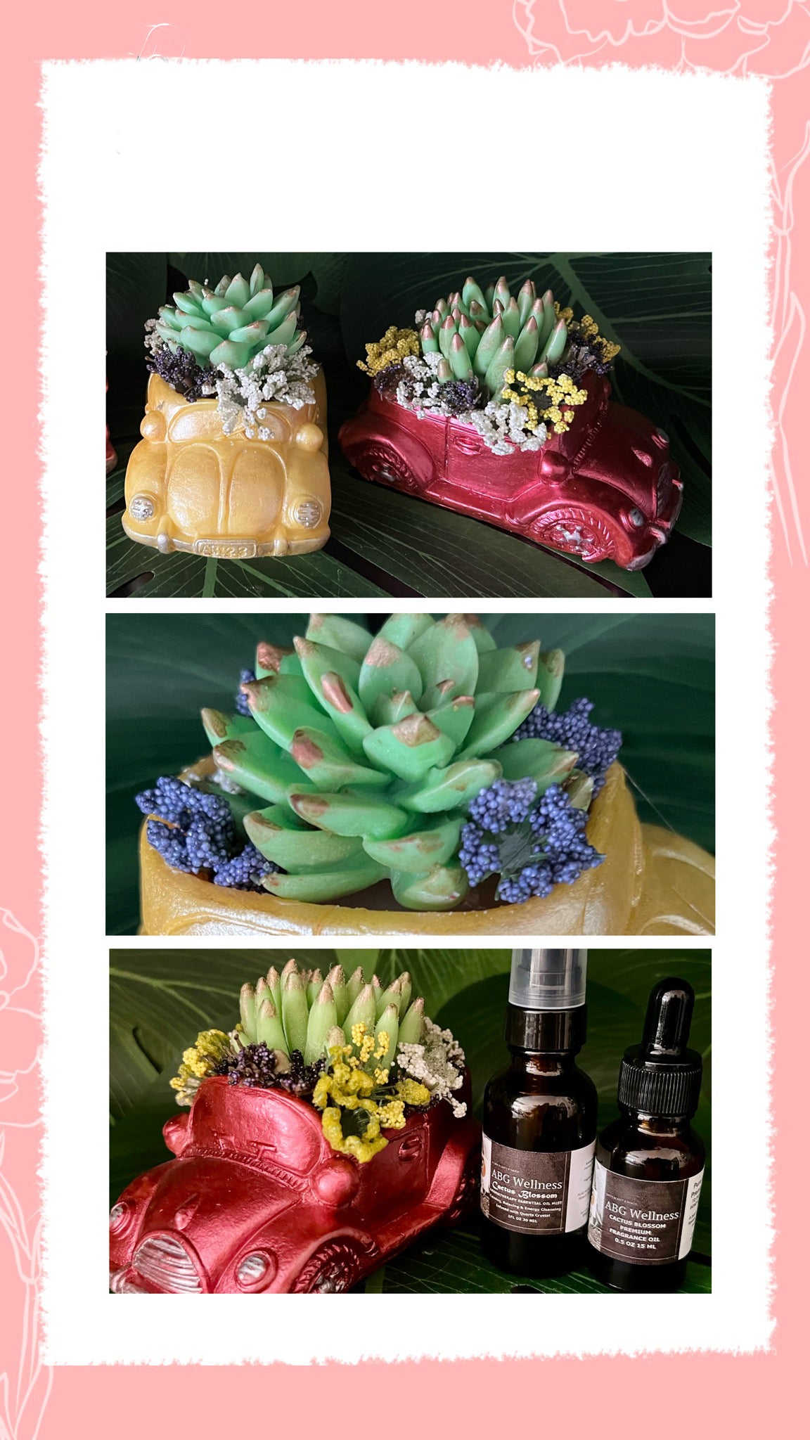 3 Pc Cactus Succulent Aromatherapy Vintage Car Soap Home Fragrance Decor Art Gift Set "MADE TO ORDER" A Gift For Any Occasion