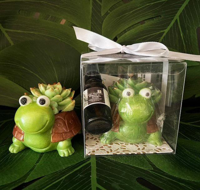 3 Pc Aromatherapy Artisan Turtle Cactus Succulent Soap Air Freshener, Essential Oil & Misting Spray Gift Set, “MADE TO ORDER” A Gift For Any Occasion