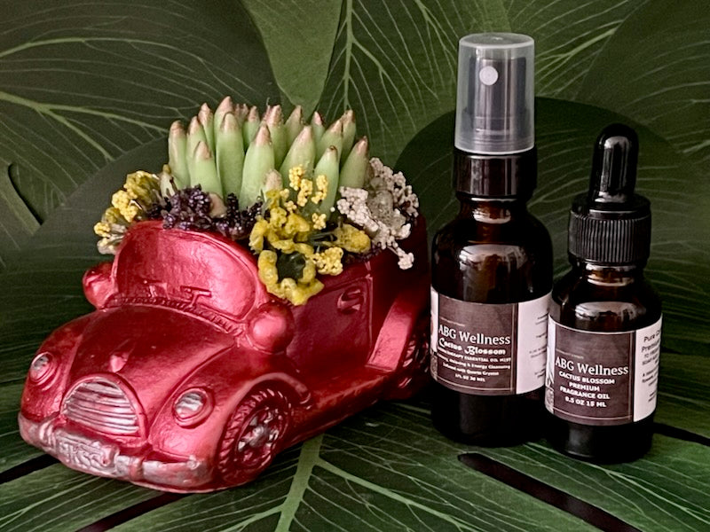 3 Pc Cactus Succulent Aromatherapy Vintage Car Soap Home Fragrance Decor Art Gift Set "MADE TO ORDER" A Gift For Any Occasion