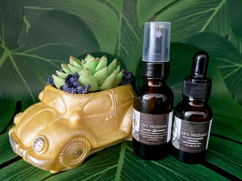 3 Pc Cactus Succulent Aromatherapy Vintage Car Soap Home Fragrance Decor Art Gift Set "MADE TO ORDER" A Gift For Any Occasion